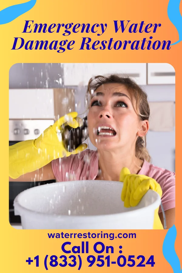 Emergency Water Damage Restoration in Whitesville, WV