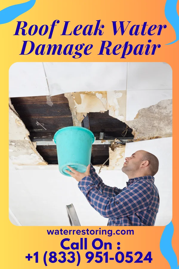 Roof Leak Water Damage Repair in Whitesville, WV