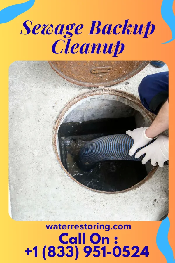 Sewage Backup Cleanup in Whitesville, WV